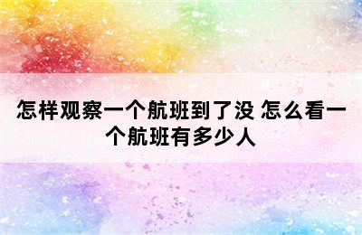 怎样观察一个航班到了没 怎么看一个航班有多少人